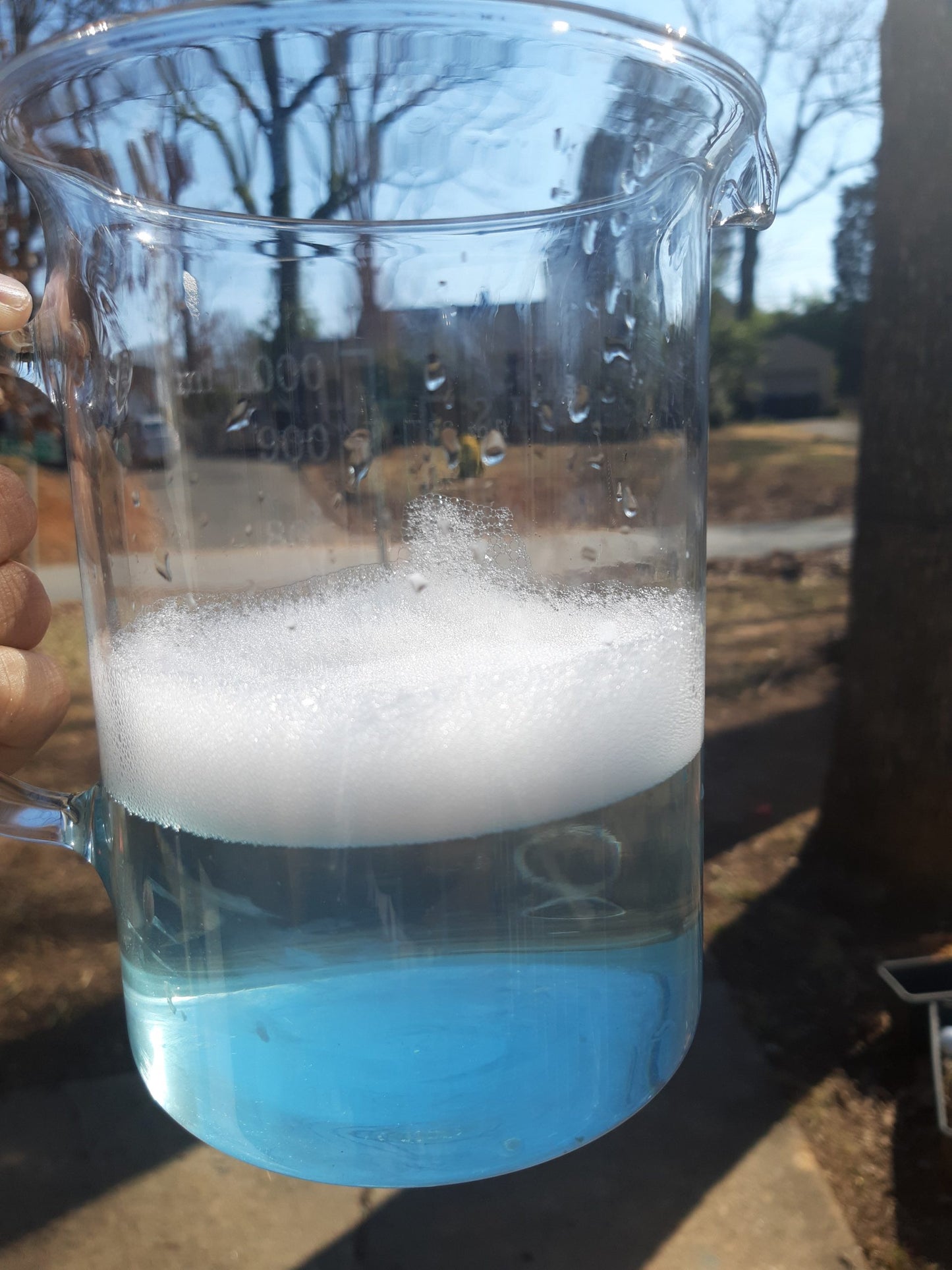 Blue Butterfly Lavender Bubbly Bath