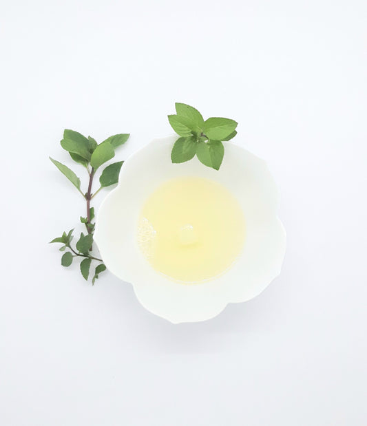 Pure & Simple organic liquid Castile soap - peppermint