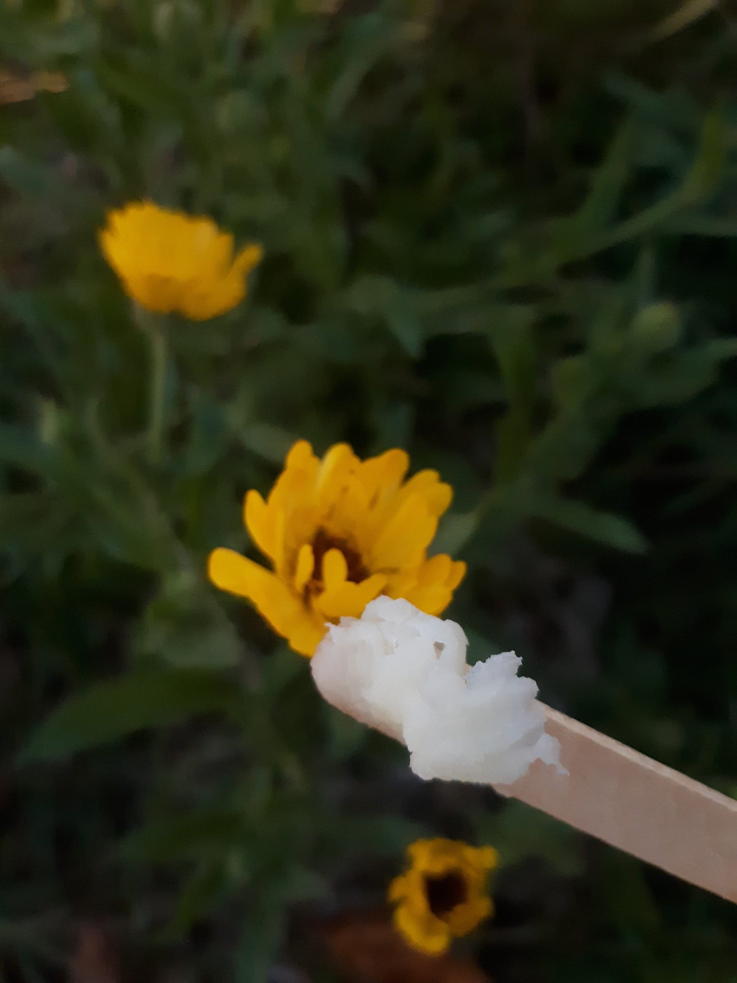 Garden Gloves restorative salve