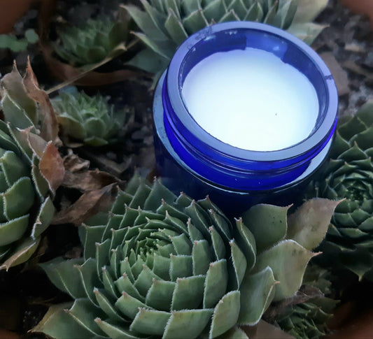 Garden Gloves Restorative Salve