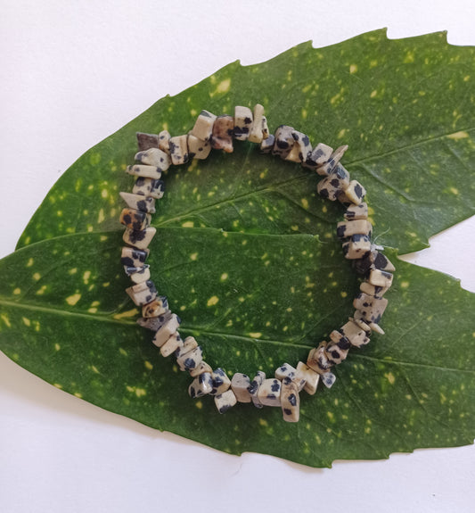 Dalmatian Jasper Bracelet