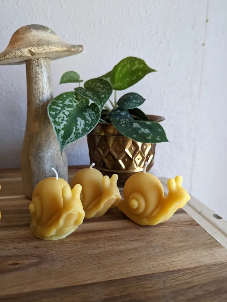 Snail Beeswax Candle